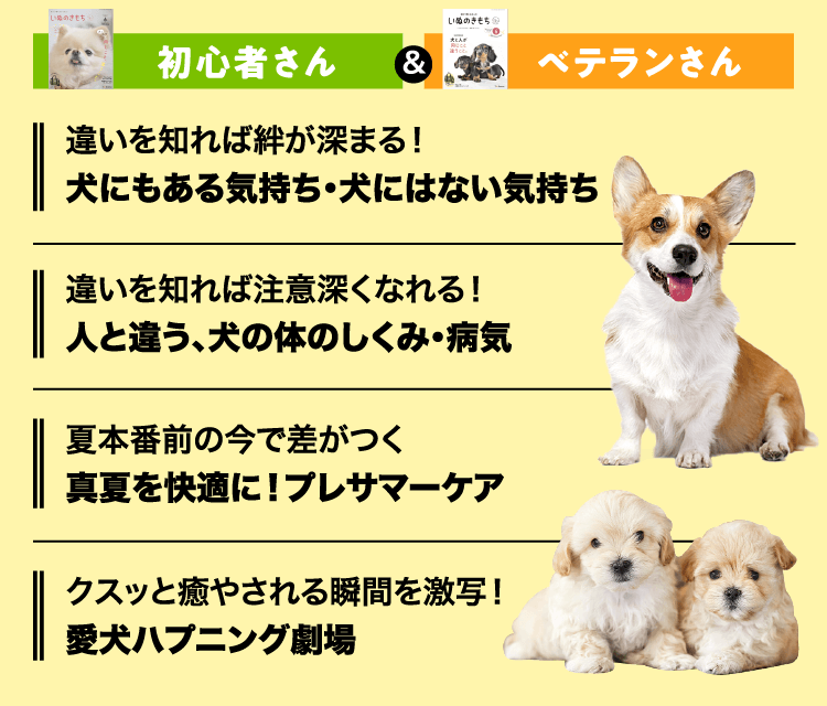 いぬのきもち　初心者さん＆ベテランさん