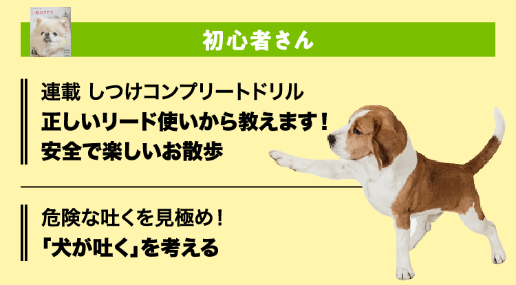 いぬのきもち　初心者さん