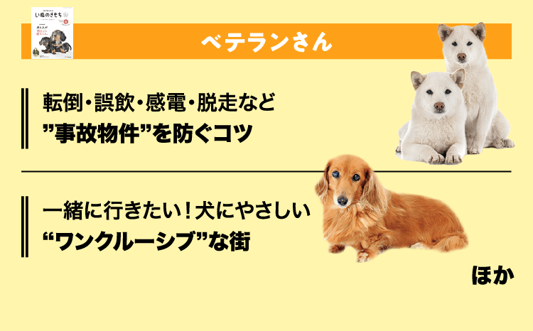 いぬのきもち　ベテランさん