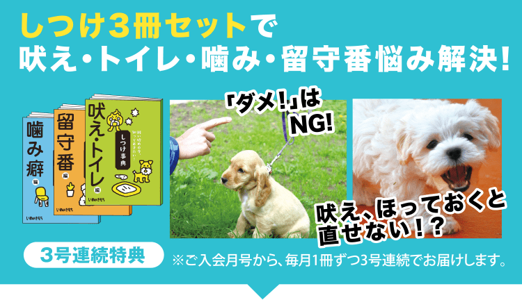 しつけ3冊セットで吠え・噛み・留守番悩み解決!