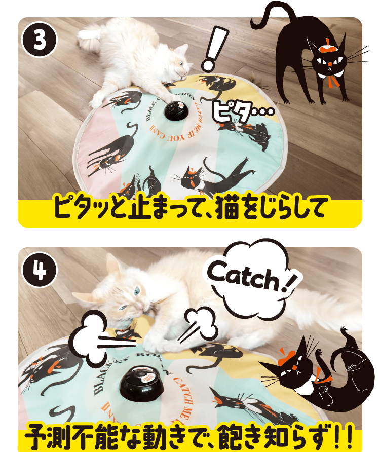 (3)ピタッと止まって、猫をじらして　(4)予測不能な動きで、飽き知らず!!