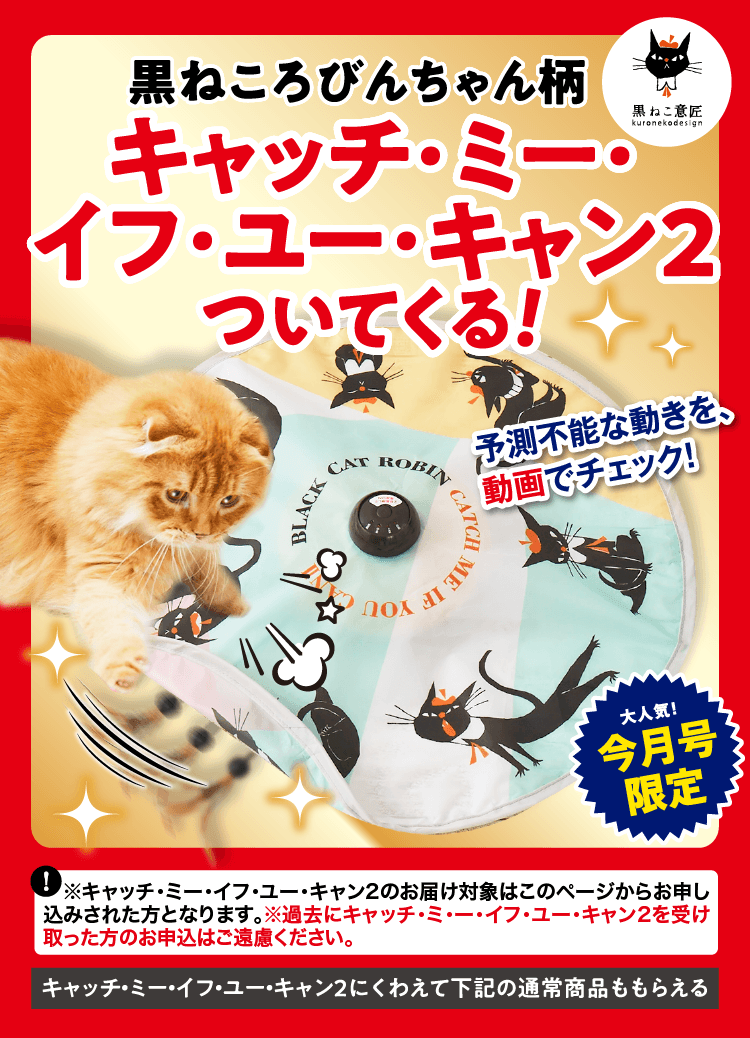 このページからのお申し込み限定！ ≪黒ねころびんちゃん柄 キャッチ・ミー・イフ・ユー・キャン2≫プレゼント！