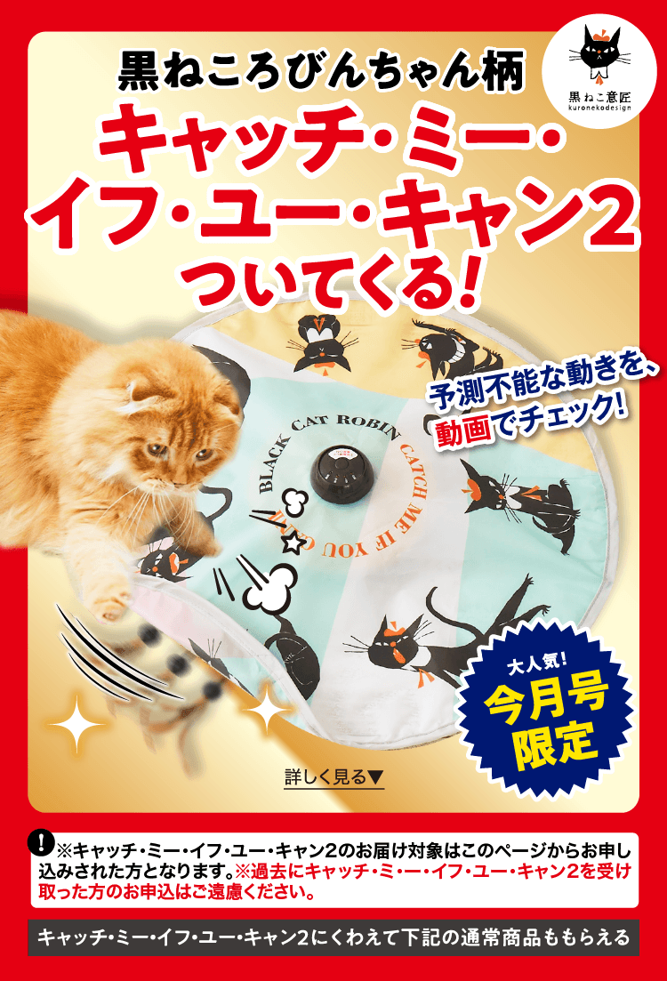 このページからのお申し込み限定！ ≪黒ねころびんちゃん柄 キャッチ・ミー・イフ・ユー・キャン2≫プレゼント！
