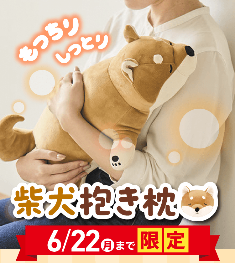 【6/22(月)まで限定】留守番の様子をスマホでいつでも見られる！ ≪柴犬抱き枕≫ 