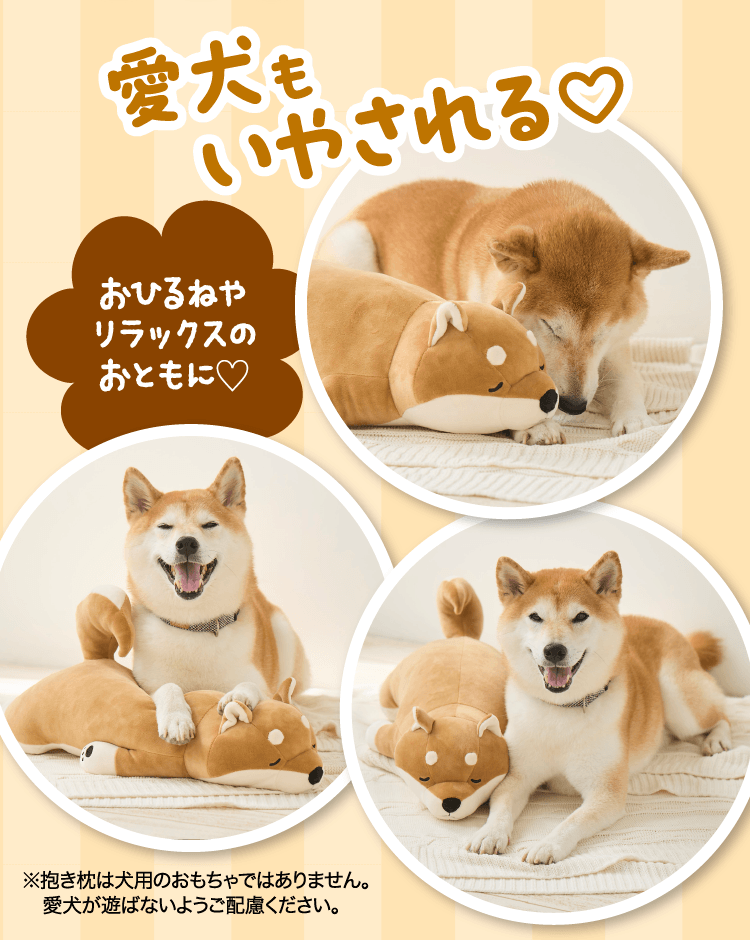 愛犬もいやされる♪おひるねやリラックスのおともに♪　※抱き枕は犬用のおもちゃではありません。愛犬が遊ばないようにご配慮ください。