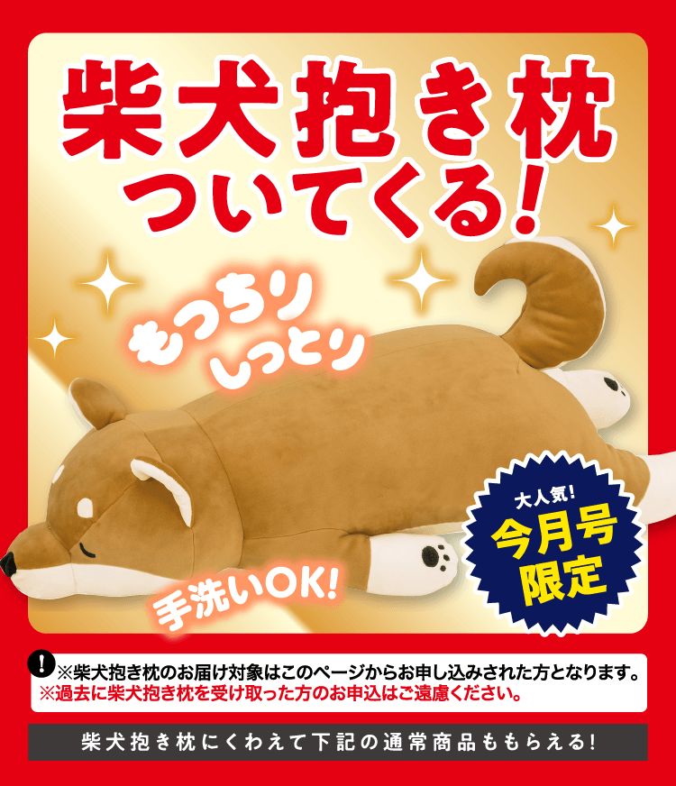 このページからのお申し込み限定！ ≪柴犬抱き枕≫プレゼント！
