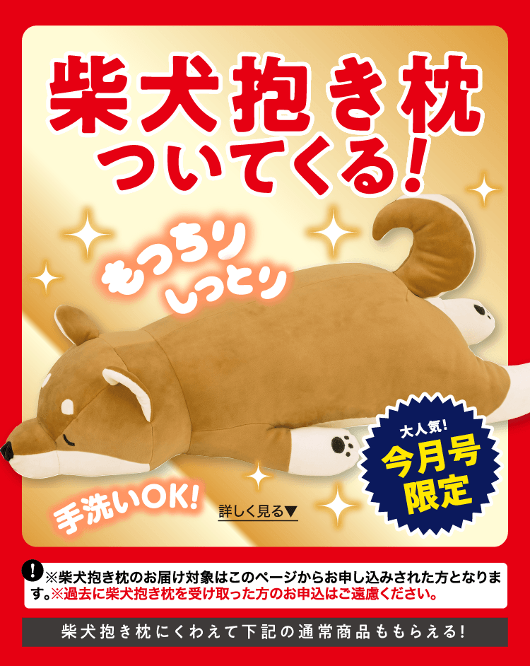 このページからのお申し込み限定！ ≪見守りカメラ≫プレゼント！