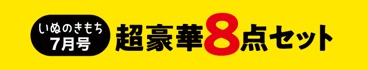 いぬのきもち7月号