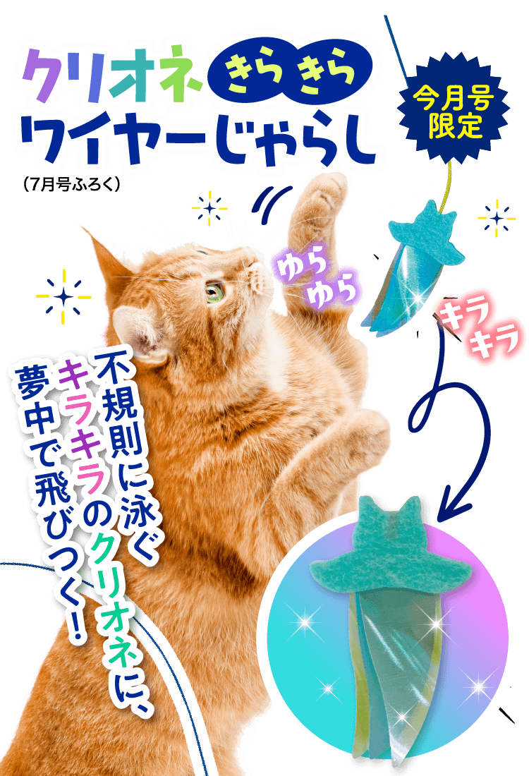 【今月号限定】きらきらクリオネワイヤーじゃらし