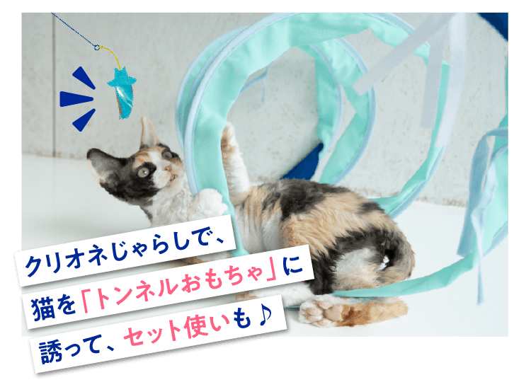 クリオネじゃらしで、猫を「トンネルおもちゃ」い誘って、セット使いも♪