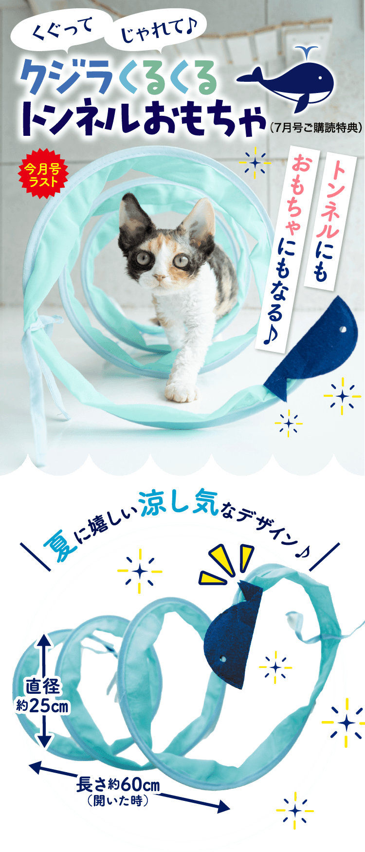 【今月号限定】クジラくるくるトンネルおもちゃ 夏に嬉しい涼し気なデザイン♪
