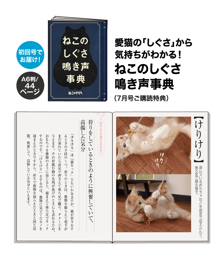愛猫の「しぐさ」から気持ちがわかる！ ねこのしぐさ鳴き声事典（7月号ご購読特典）