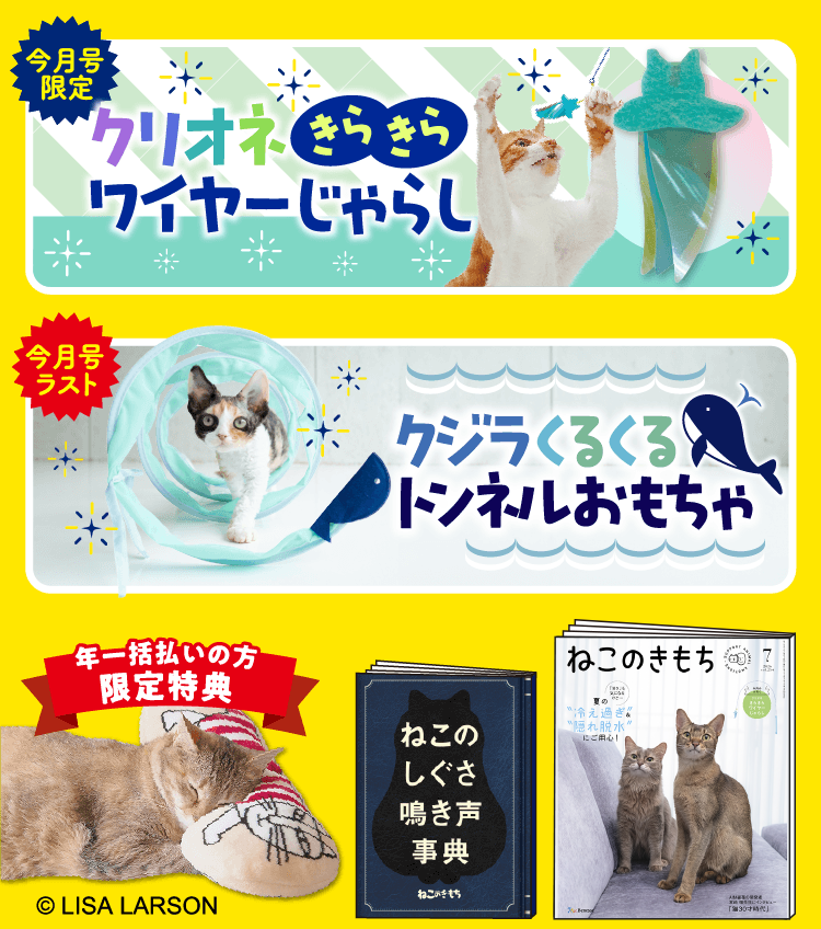 超豪華5点セット