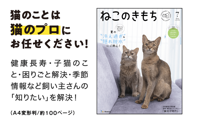 猫のことは猫のプロにお任せください！[A4判／約100ページ]