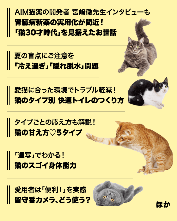 注目特集