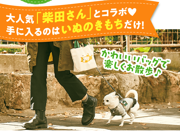 大人気「柴田さん」とコラボ！手に入るのはいぬのきもちだけ！