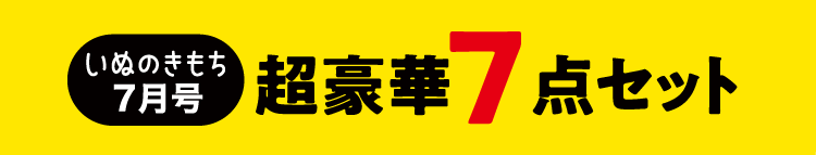 いぬのきもち7月号