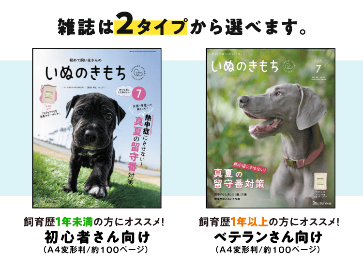 いぬのきもちは2タイプから選べます！[A4変型判／約100ページ]