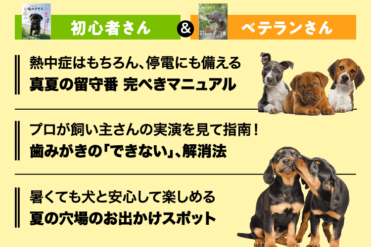 いぬのきもち　初心者さん＆ベテランさん