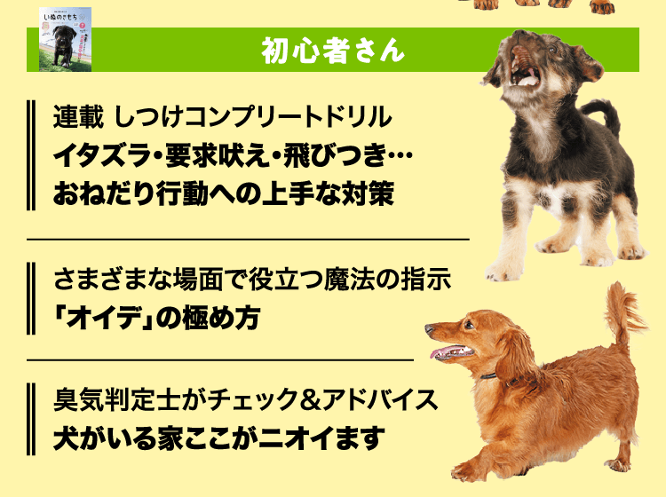 いぬのきもち　初心者さん
