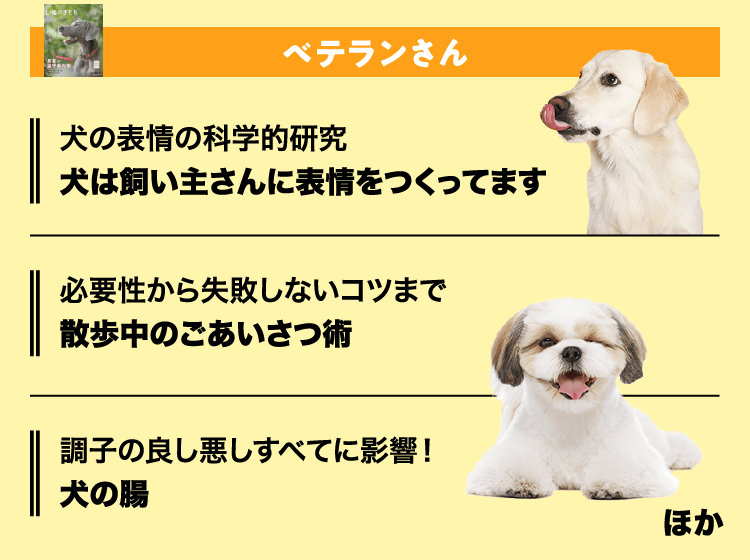 いぬのきもち　ベテランさん
