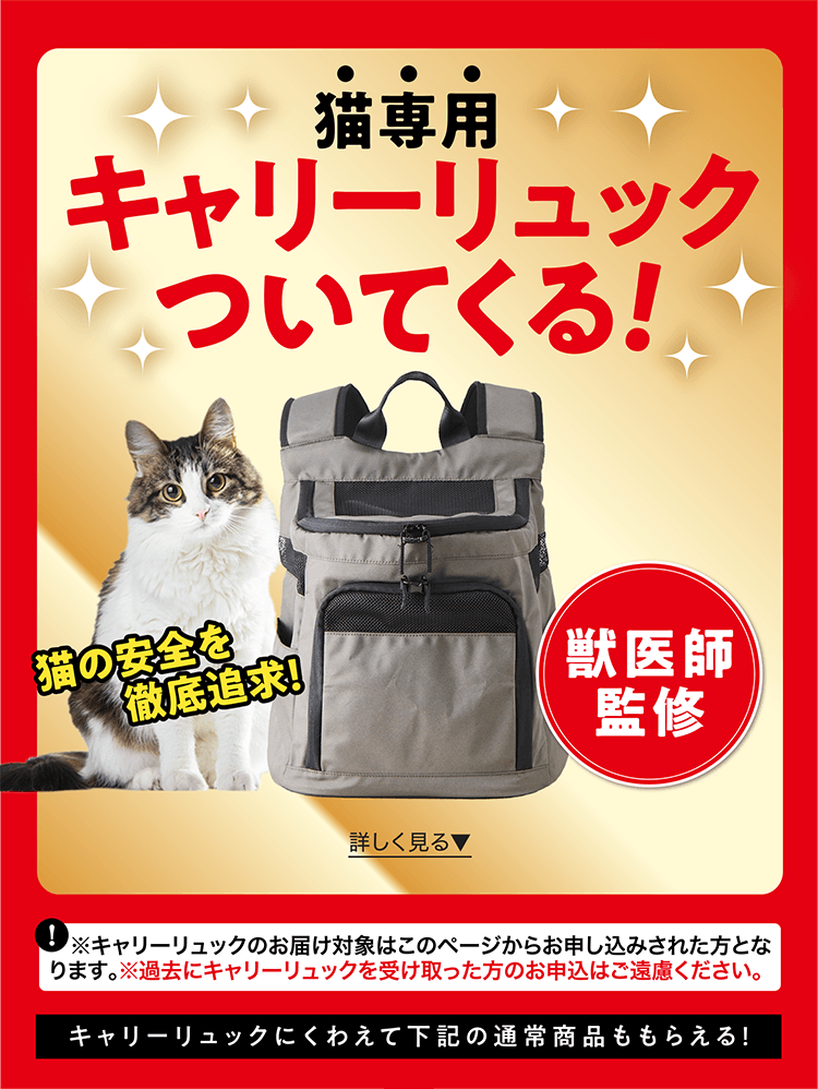 ねこのきもち | こねこのコト、困ったこと、もっと仲良くなるコツなら