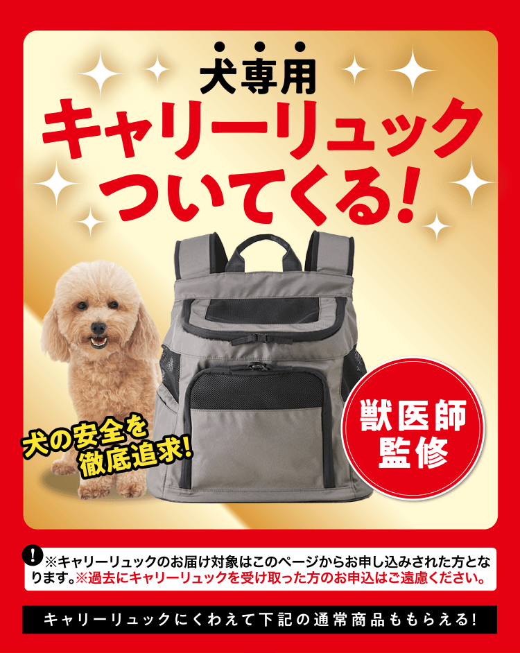 このページからのお申し込み限定！ 犬専用キャリーリュックついてくる!