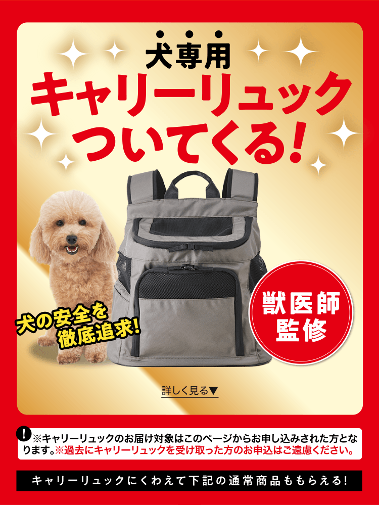 このページからのお申し込み限定！ 犬専用キャリーリュックついてくる!