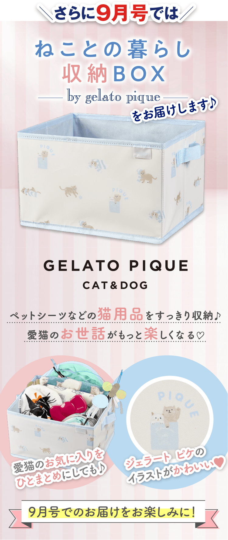 ねこのきもち | こねこのコト、困ったこと、もっと仲良くなるコツなら