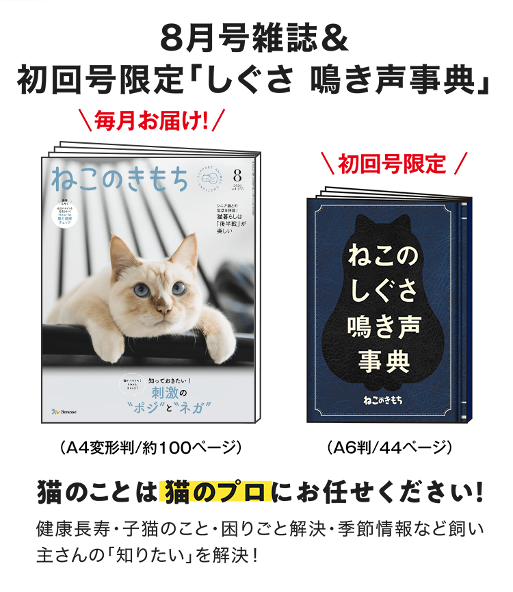 特典・ふろくのご紹介| 愛猫の健康・育て方がわかる雑誌「ねこのきもち