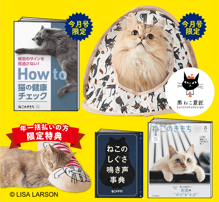 超豪華5点セット
