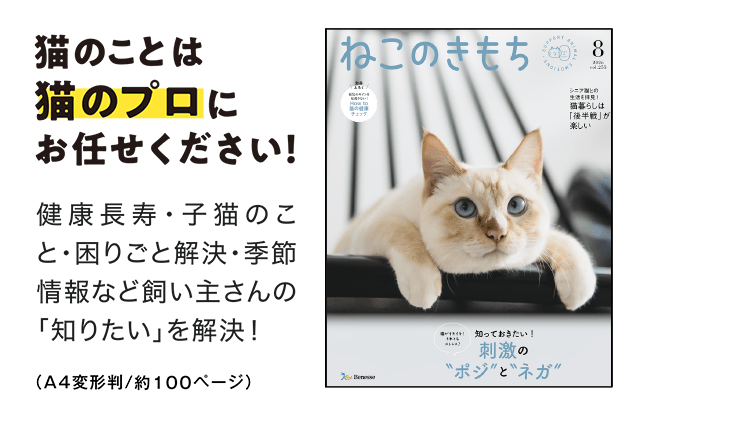猫のことは猫のプロにお任せください！[A4判／約100ページ]