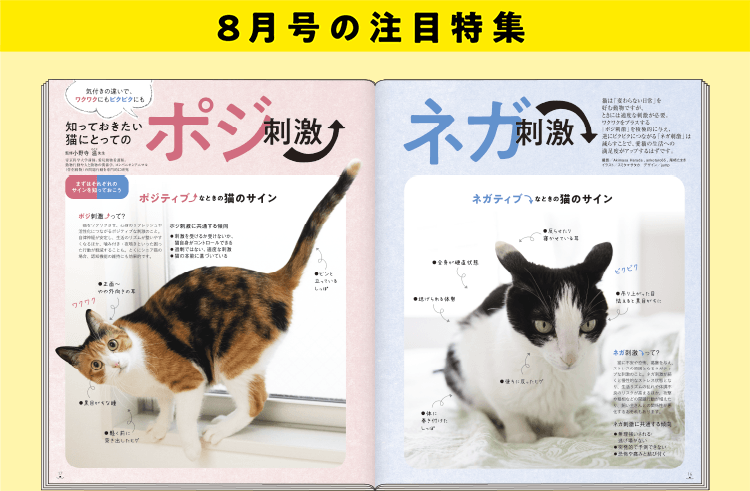 注目特集