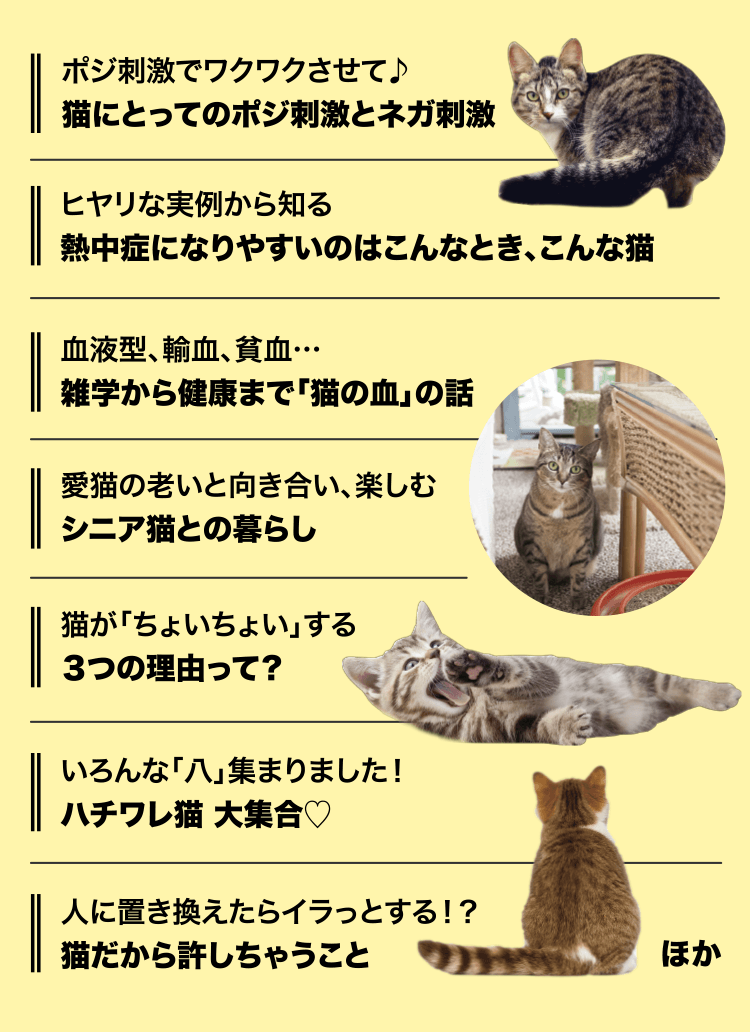 注目特集