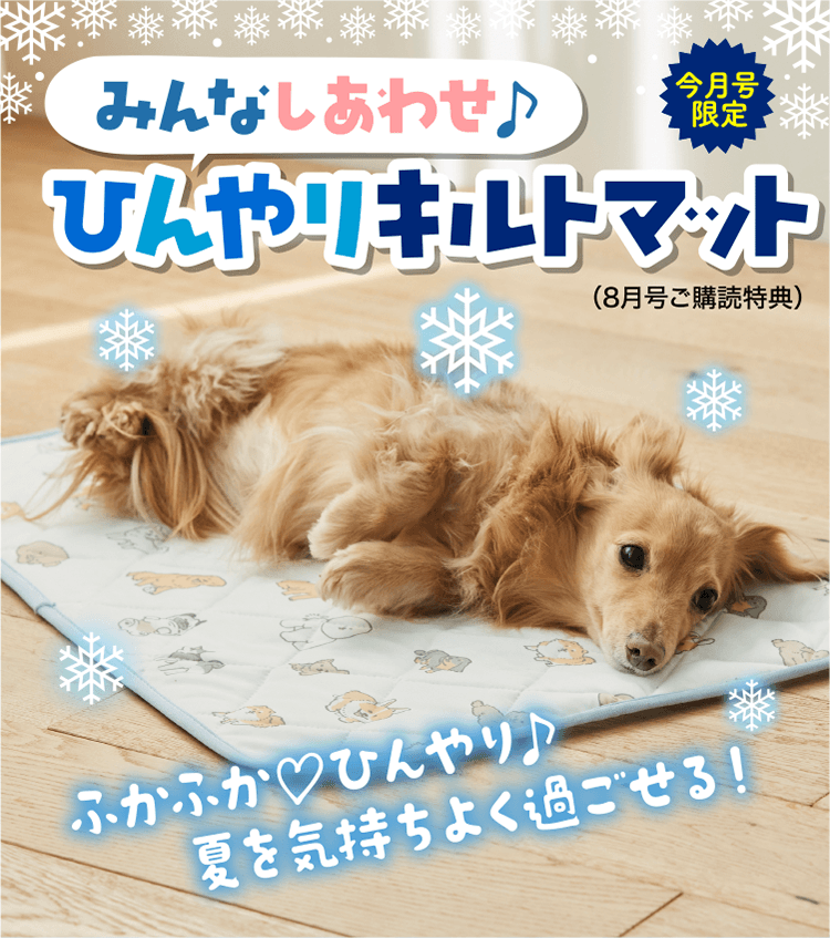 みんなしあわせ♪	ひんやりキルトマット 今月号限定 ふかふか♡ひんやり♪ 夏を気持ちよく過ごせる！