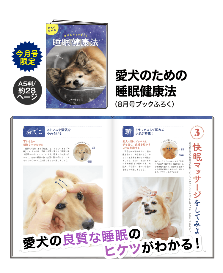愛犬のための睡眠健康法