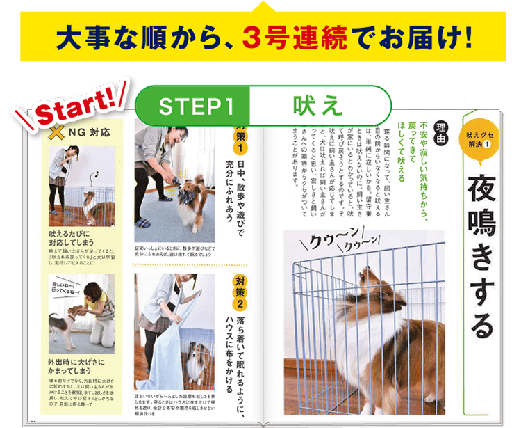 STEP1 ≪吠え≫