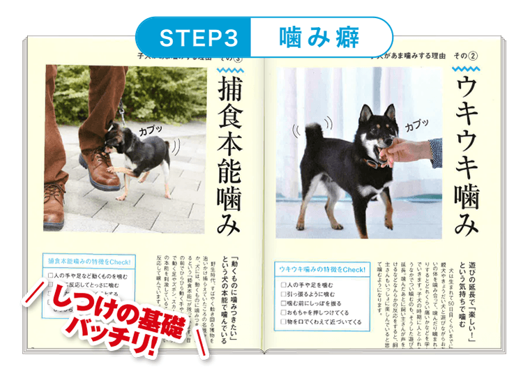 STEP3 ≪噛み癖≫