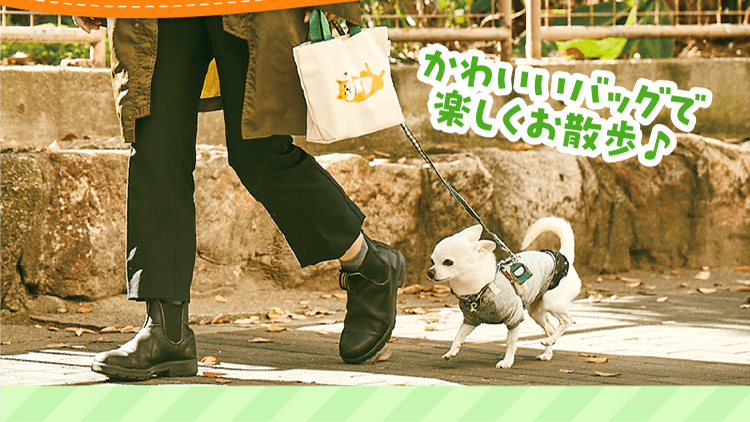 大人気「柴田さん」とコラボ！手に入るのはいぬのきもちだけ！