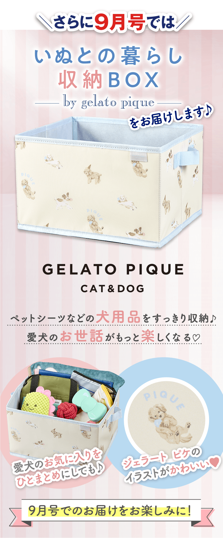 ＼さらに9月号では／ いぬとの暮らし収納BOX by gelato pique をお届けします♪ 9月号でのお届けをお楽しみに！