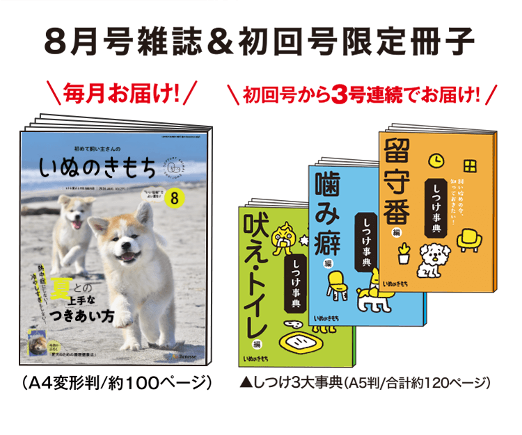 8月号雑誌＆初回号限定冊子