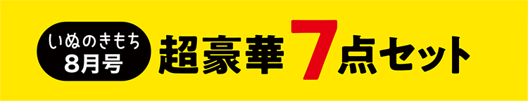 いぬのきもち8月号