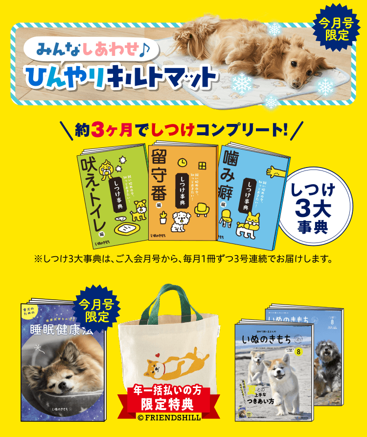 超豪華8点セット