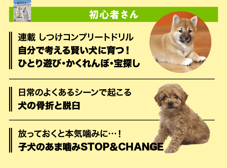 いぬのきもち　初心者さん