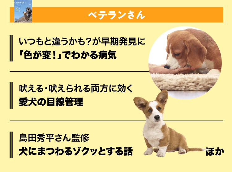 いぬのきもち　ベテランさん
