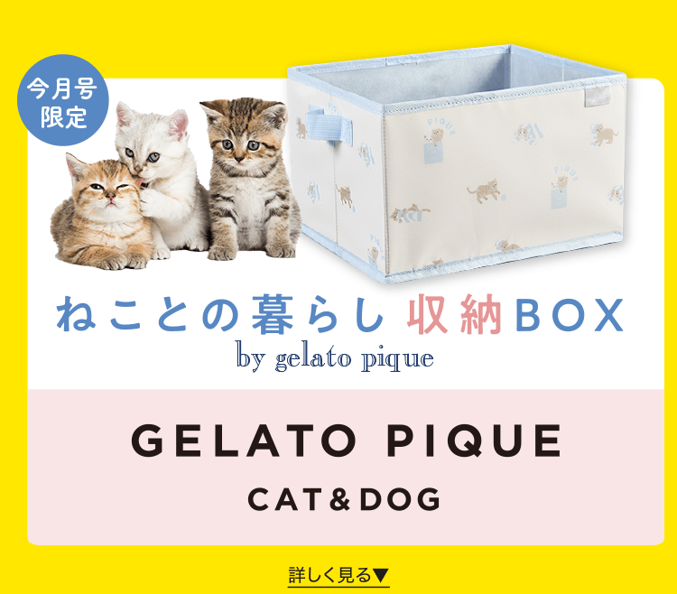 ねことの暮らし収納BOX