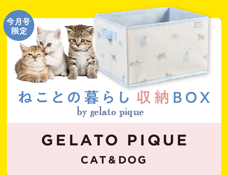 ねことの暮らし収納BOX
