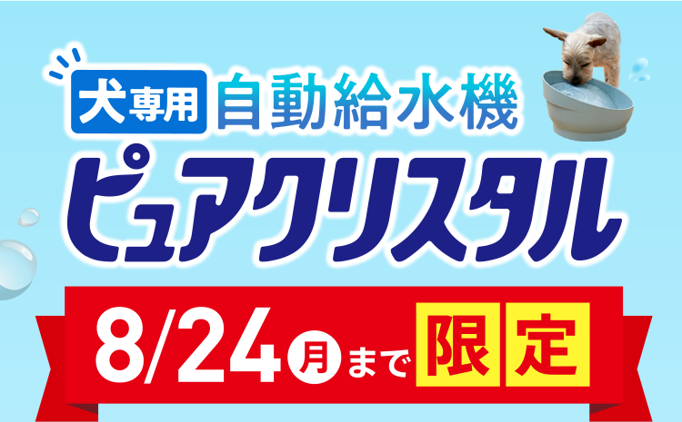 犬専用自動給水機 ピュアクリスタル 8/24月まで限定
