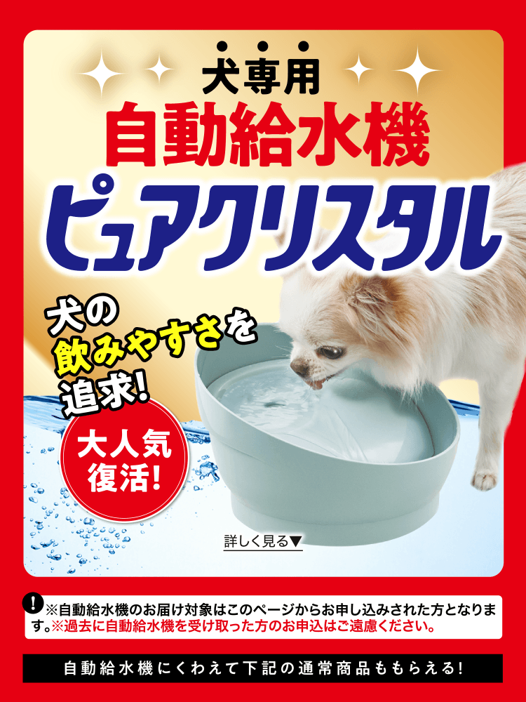 犬のしつけ・飼い方・育て方−犬のしつけなら『いぬのきもち』 | いぬ