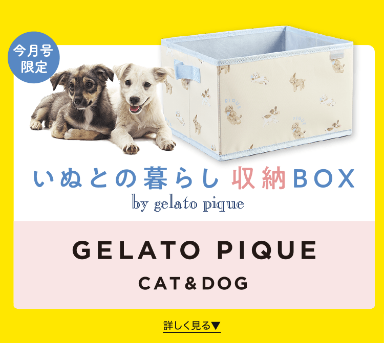今月号限定 いぬとの暮らし収納BOX